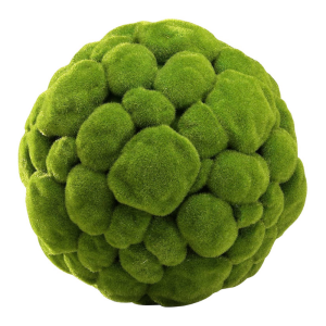 Sfera din muschi