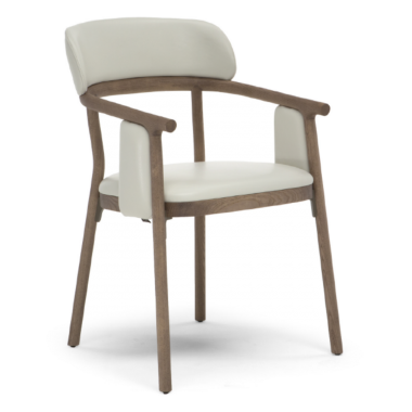 Scaun cu brate Tennis