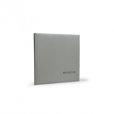 Carte reconditionata, Brancusi, Nicolae Sandulescu